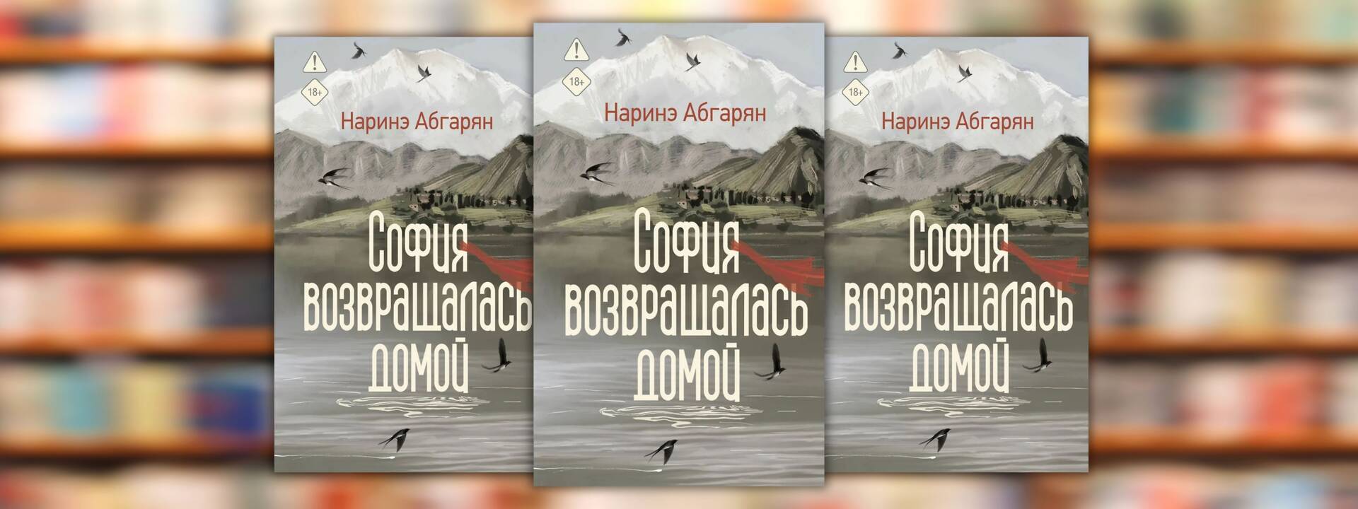 Наринэ Абгарян «София возвращалась домой»