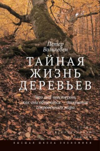 The Secret Life of Trees: What They Feel, How They Communicate—Discovering a Hidden World