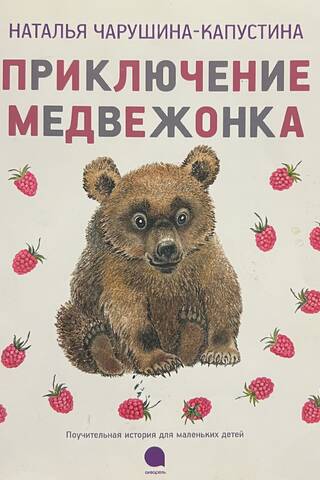 Приключение медвежонка