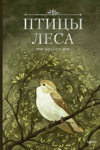 Birds of the Forest. Artbook