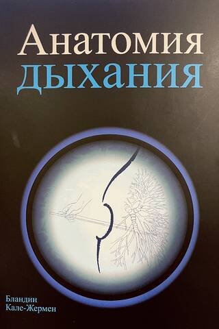 Анатомия дыхания