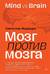 Мозг против мозга. Mind vs brain