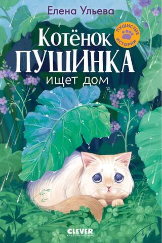 Kitten Pushinka is looking for a home