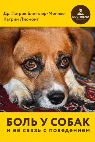 Боль у собак и ее связь с поведением