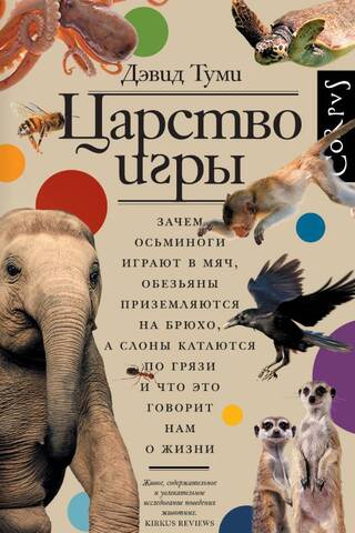 Царство игры