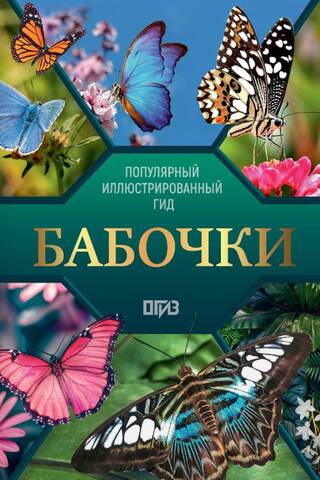 Butterflies: An Illustrated Guide