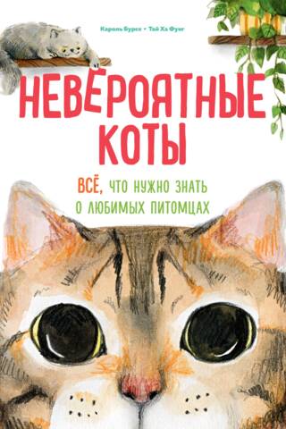 Incredible Cats: Everything You Need to Know About Your Favorite Pets