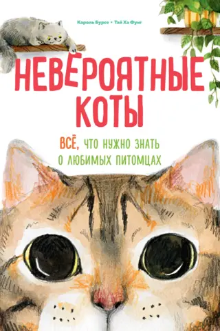 Невероятные коты. Всё, что нужно знать о любимых питомцах