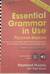 Essential Grammar in Use. Русская версия
