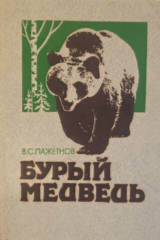 Бурый медведь