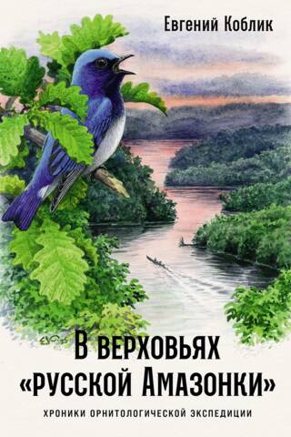 In the headwaters of the "Russian Amazon": Chronicles of an ornithological expedition