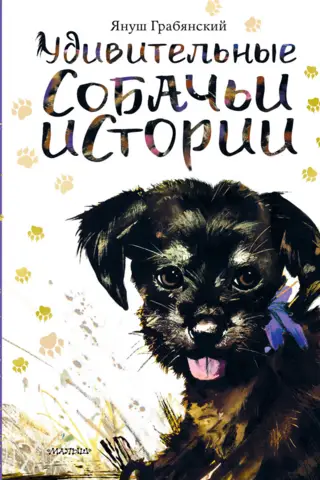 Amazing dog stories