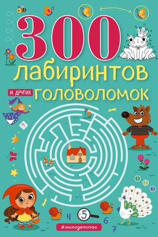 300 labyrinths and other puzzles