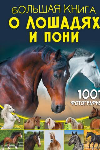 Lielā zirgu un poniju grāmata. 1001 fotoattēls