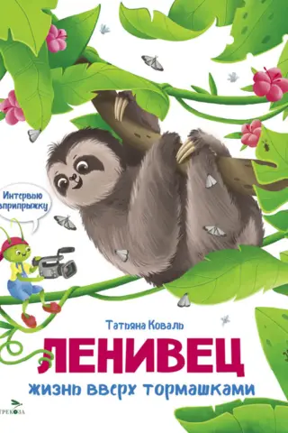 Sloth. Life Upside Down. A Jumping Interview