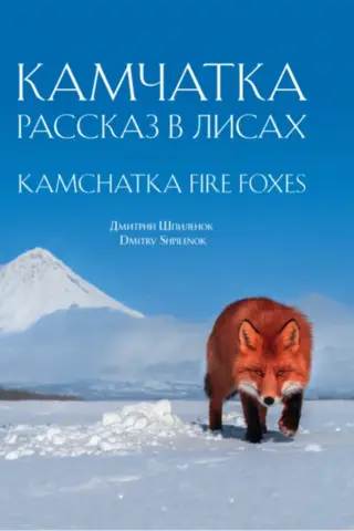 Камчатка. Рассказ в лисах