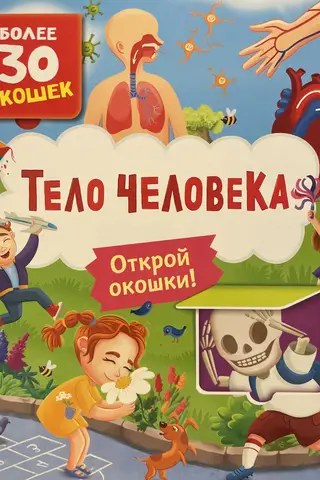 Книги с окошками. Тело человека