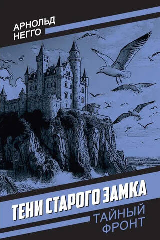 Shadows of the Old Castle
