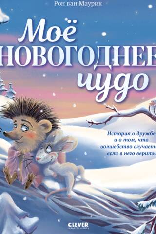 Моё новогоднее чудо