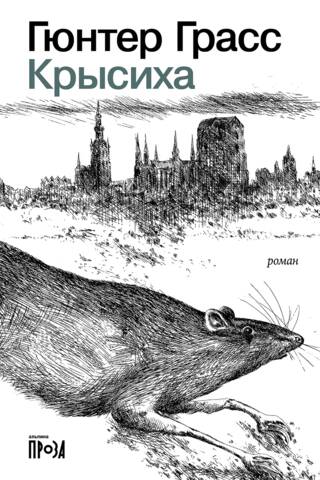 Rat