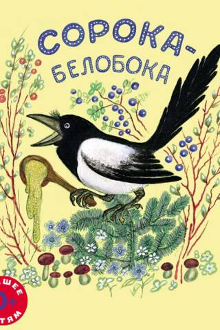 Сорока-белобока