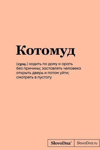 Kotomud. SlovoDna piezīmju grāmatiņa