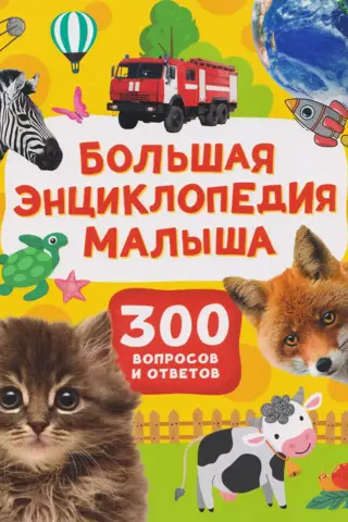 The Big Encyclopedia for Kids: 300 Questions and Answers