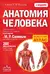 Анатомия человека
