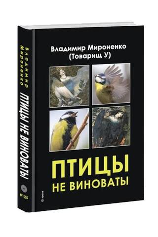 Птицы не виноваты