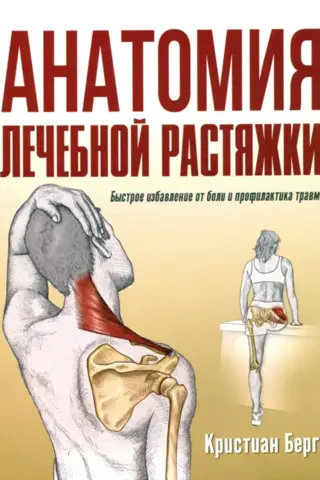 The Anatomy of Therapeutic Stretching: Quick Pain Relief and Injury Prevention