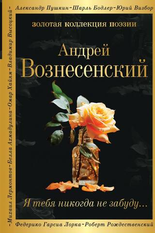 Я тебя никогда не забуду...