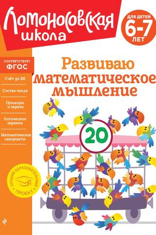 Developing Mathematical Thinking: For Children 6-7 Years Old