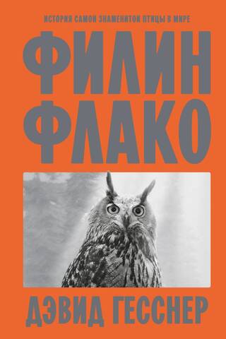 Филин Флако. История самой знаменитой птицы в мире