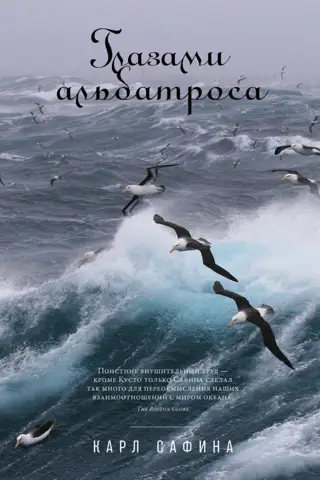 Ar albatrosa acīm