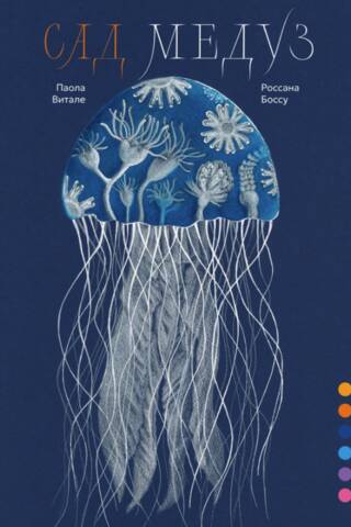 Jellyfish Garden