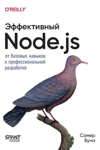 Effective Node.js: From Basic Skills to Professional Development