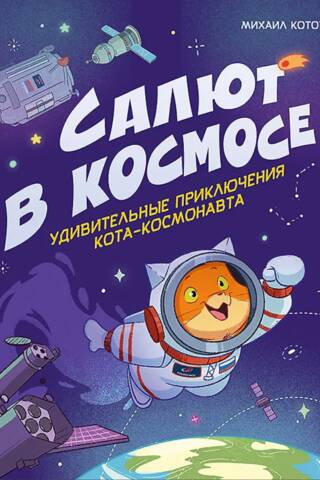 Fireworks in Space: The Amazing Adventures of a Space Cat
