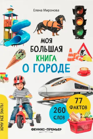 My big book about the city
