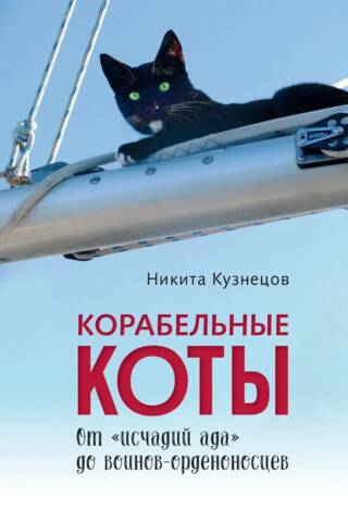 Ship's Cats: From "Hellspawn" to Order-Wearing Warriors