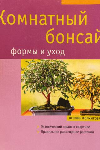 Комнатный бонсай. Формы и уход