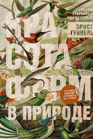 Красота форм в природе. Альбом старинных иллюстраций