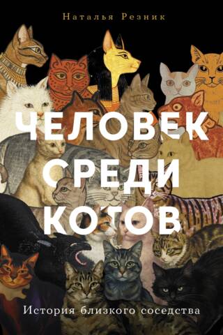 A Man Among Cats: A Tale of Close Neighborhood