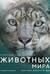 Огромная энциклопедия животных мира