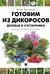 Готовим из дикоросов. Деревья и кустарники