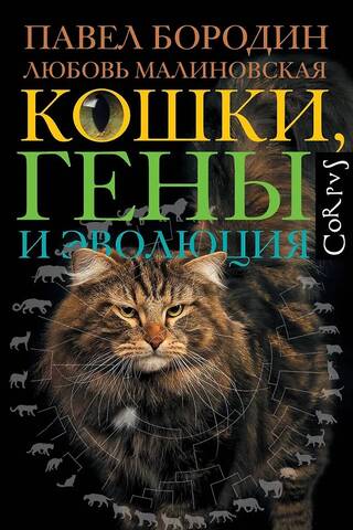 Кошки, гены и эволюция
