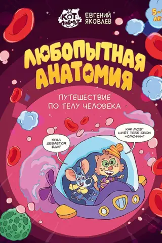 Curious Anatomy: A Journey Through the Human Body
