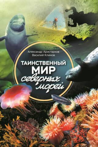Таинственный мир северных морей