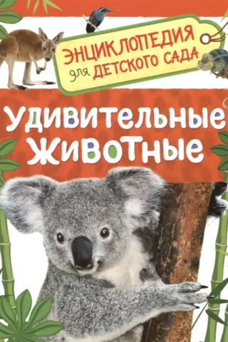 Amazing animals