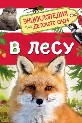 В лесу