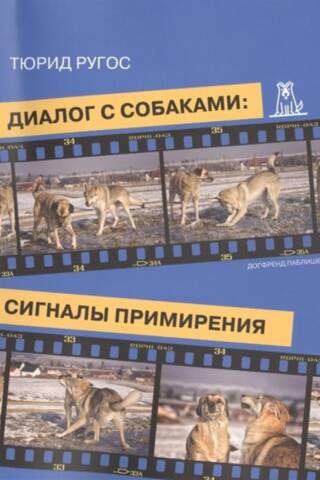 Диалог с собаками: сигналы примирения